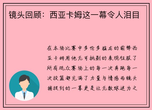 镜头回顾：西亚卡姆这一幕令人泪目